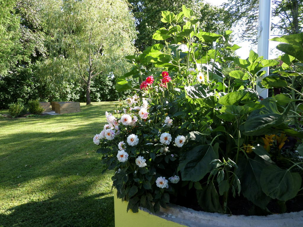 Skogis Bed & Breakfast Katrineholm Extérieur photo