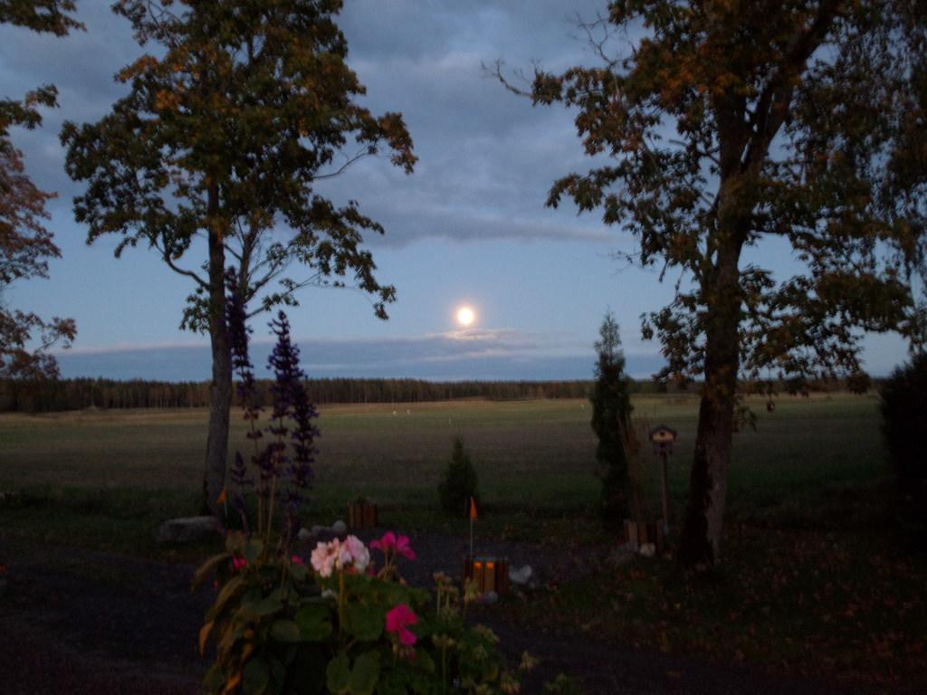 Skogis Bed & Breakfast Katrineholm Extérieur photo